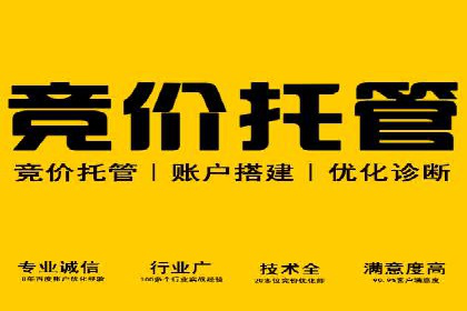某电商平台的SEM推广策略——代运营公司的实践
